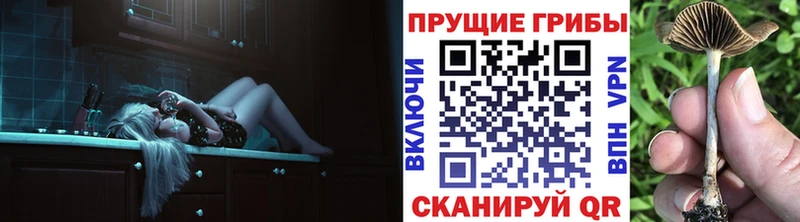 Галлюциногенные грибы Cubensis  OMG зеркало  Суджа 